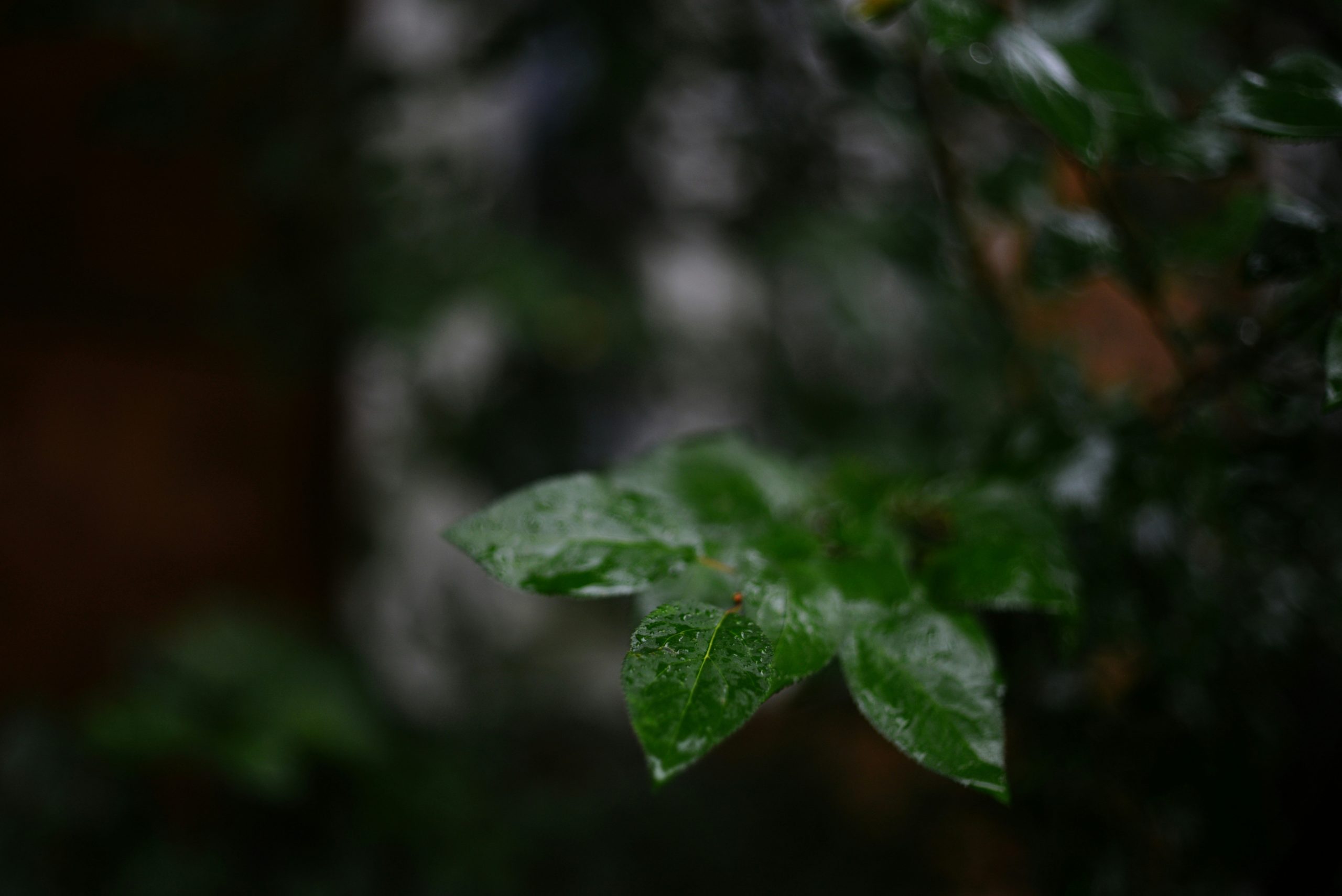 超強颱風康妮襲擊台灣，風雨交加引發全台停工停課