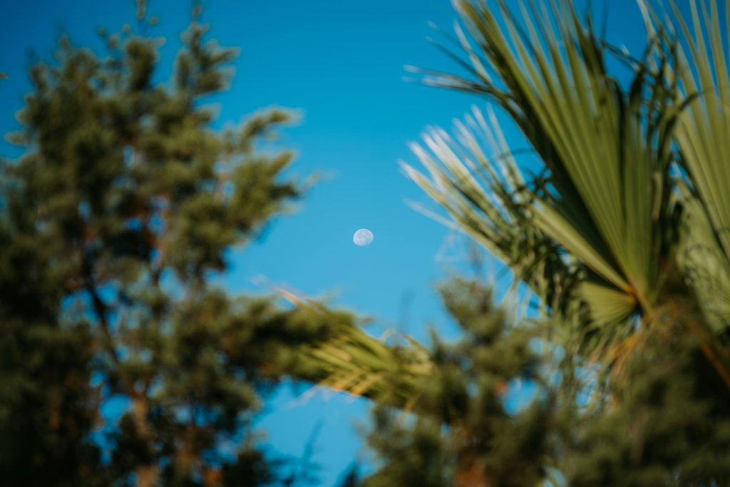 天空迎來壯麗的超級月亮：今年最大滿月，與地球距離創新低